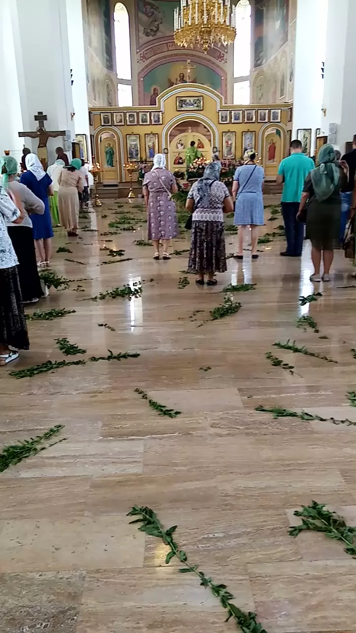 Пашковский сельскохозяйственный колледж в Краснодаре, ул. Евдокии  Бершанской, 220 - фото, отзывы 2024, рейтинг, телефон и адрес