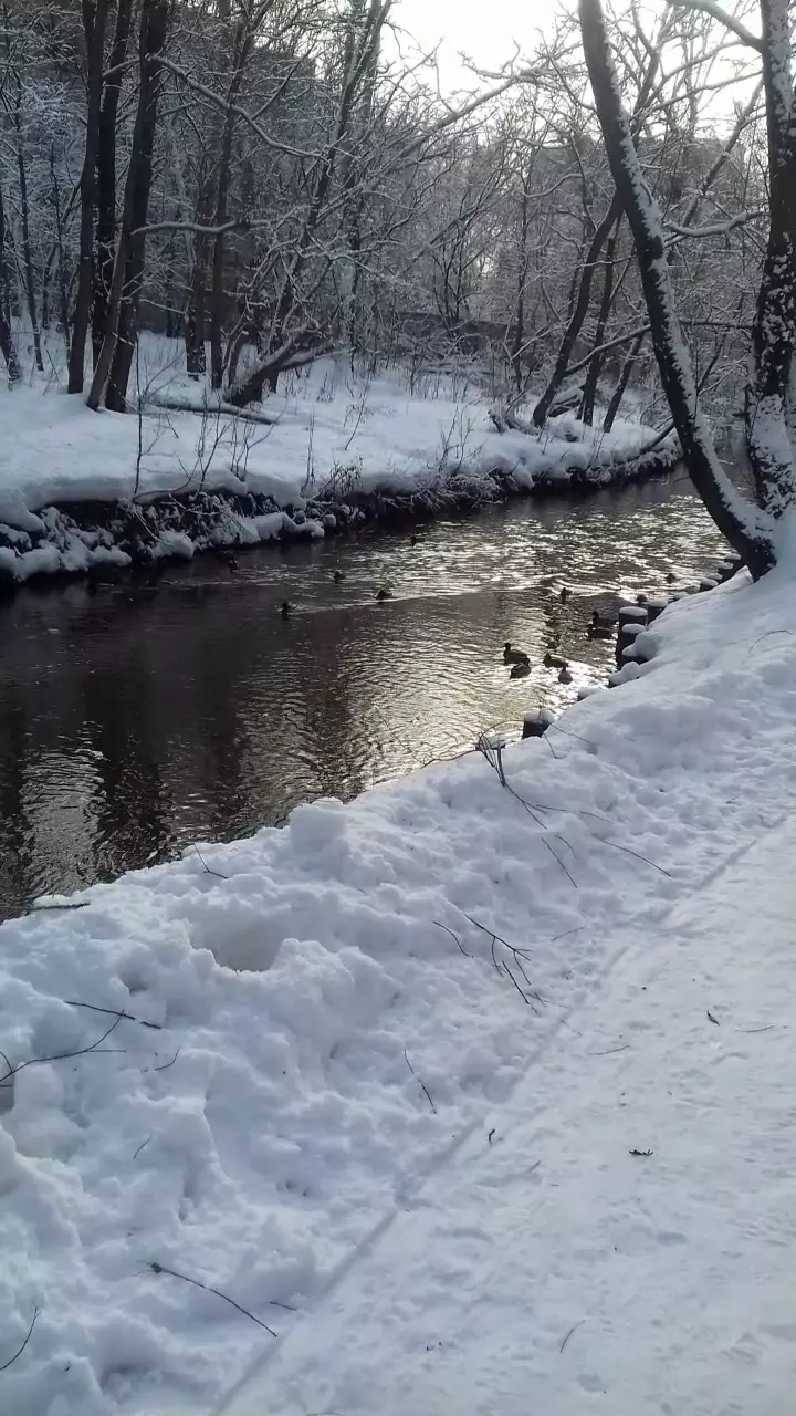 Стекольная мастерская Мастер-стекло в Москве, Осташковская ул., 14 - фото,  отзывы 2024, рейтинг, телефон и адрес