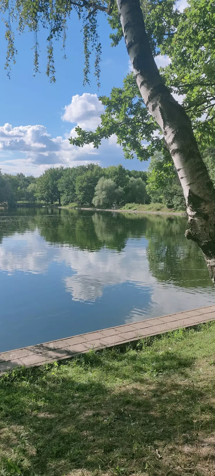 Терлецкий лесопарк в Москве - фото, отзывы 2024, рейтинг, телефон и адрес