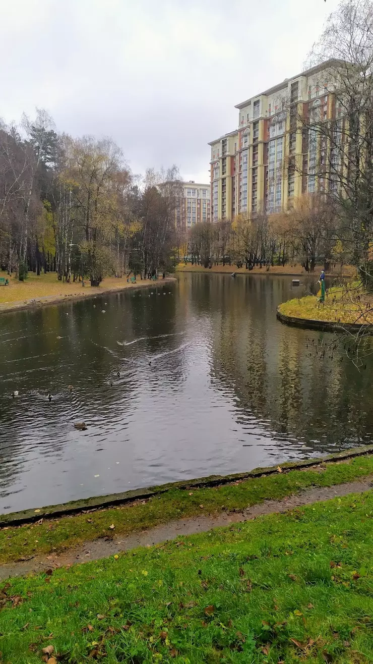 Центр оказания медицинской помощи при стоматологических заболеваниях ЦКБ в  Москве, Маршала Тимошенко ул., 11 - фото, отзывы 2024, рейтинг, телефон и  адрес