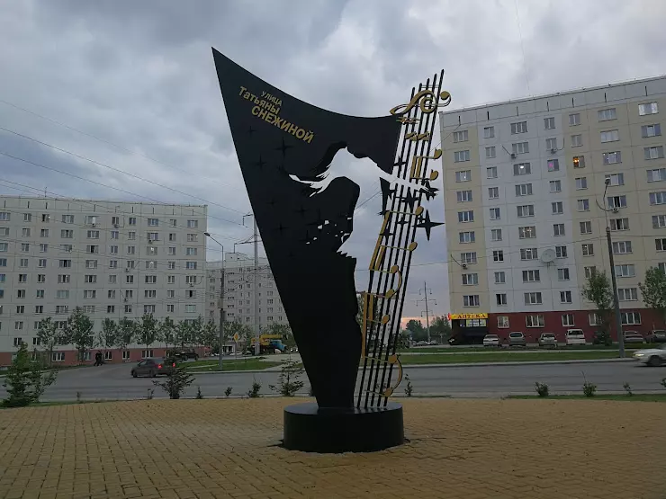 Памятник Татьяне Снежиной в Новосибирске. Памятник Татьяне Снежиной в Новосибирске фото. Памятник Татьяне Томск.