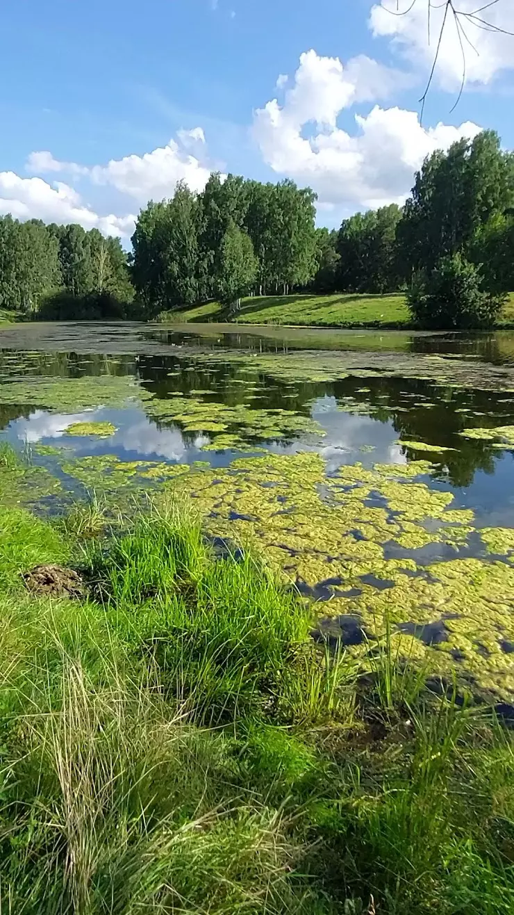 оз. Жемчужина Сибири в Новосибирске - фото, отзывы 2024, рейтинг, телефон и  адрес