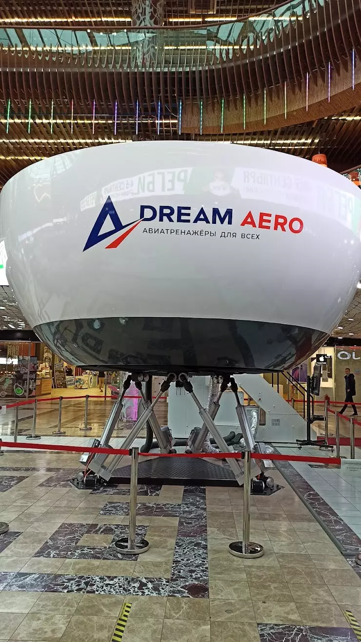 Авиатренажер Dream Aero в Санкт-Петербурге, ТРК 