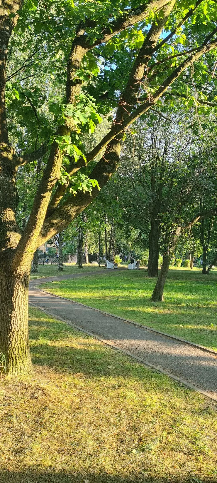 Центр Внешкольной Работы-Академический в Санкт-Петербурге, корп. 3, ул.  Вавиловых, 13 - фото, отзывы 2024, рейтинг, телефон и адрес