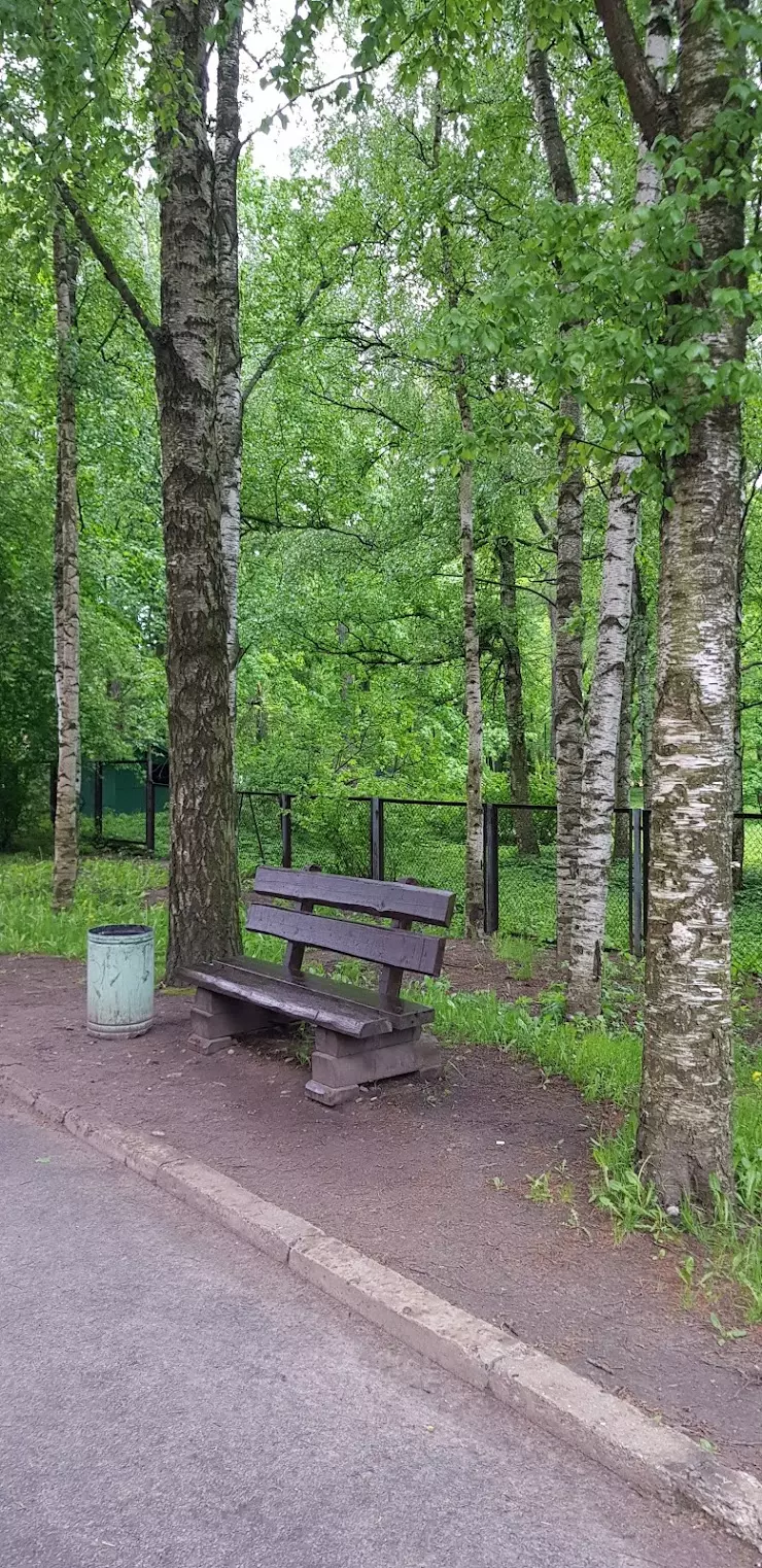 Городская больница № 9 в Санкт-Петербурге, Крестовский пр., дом 18 - фото,  отзывы 2024, рейтинг, телефон и адрес