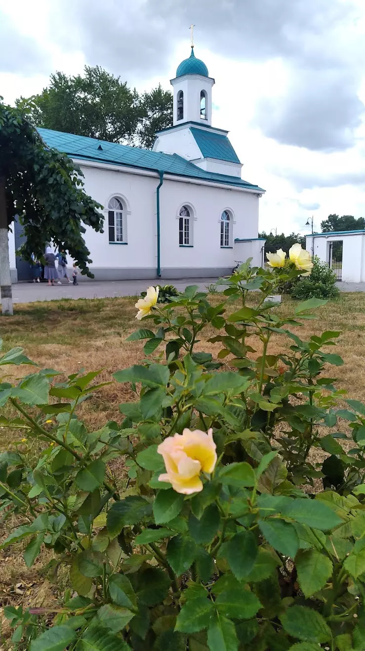 Церковь Рождества Христова в Санкт-Петербурге, пер. Челиева, 10 - фото,  отзывы 2024, рейтинг, телефон и адрес