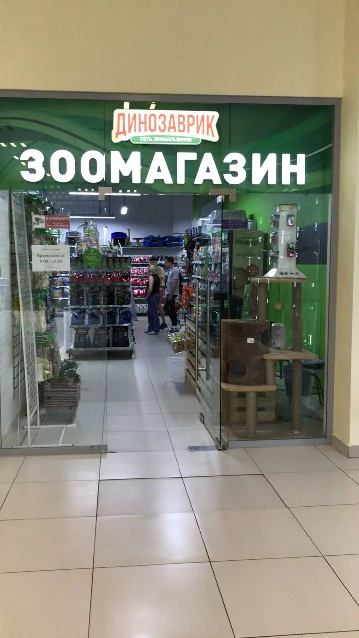 Сайт зоомагазина динозаврик