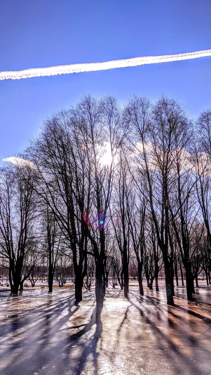 Ладожский парк в Санкт-Петербурге, парк Ладожский - фото, отзывы 2024,  рейтинг, телефон и адрес