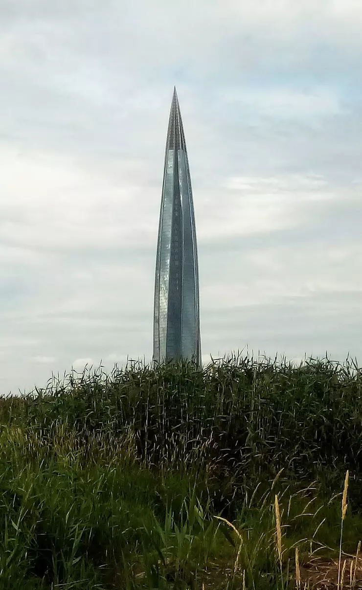 Юнтоловский заказник в Санкт-Петербурге, ул Планерная, д 91 к 1 стр 1 -  фото, отзывы 2024, рейтинг, телефон и адрес