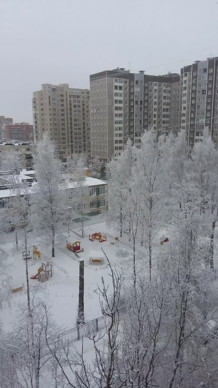 Детский сад № 29, центр развития ребёнка (бассейн) в Санкт-Петербурге,  пр-т. Ветеранов, 132 - фото, отзывы 2024, рейтинг, телефон и адрес