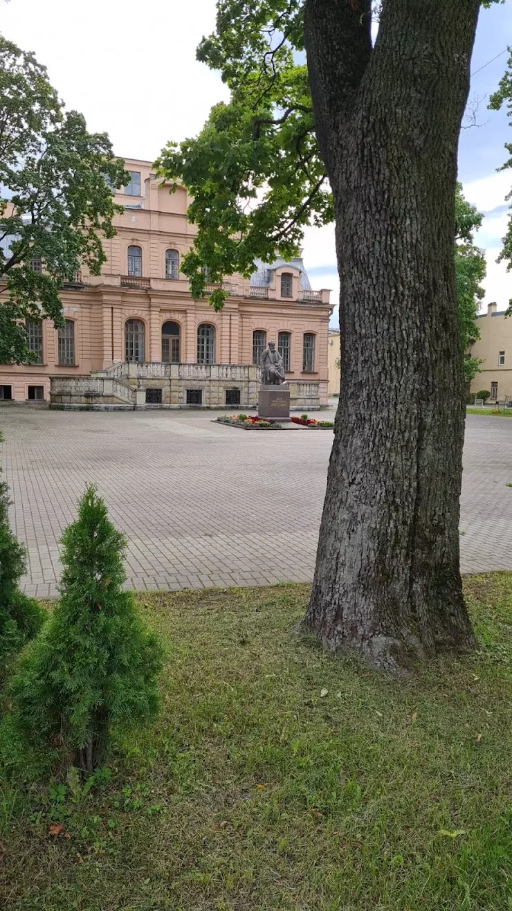 НГУ имени П.Ф. Лесгафта в Санкт-Петербурге, наб. реки Мойки, 108 - фото,  отзывы 2024, рейтинг, телефон и адрес