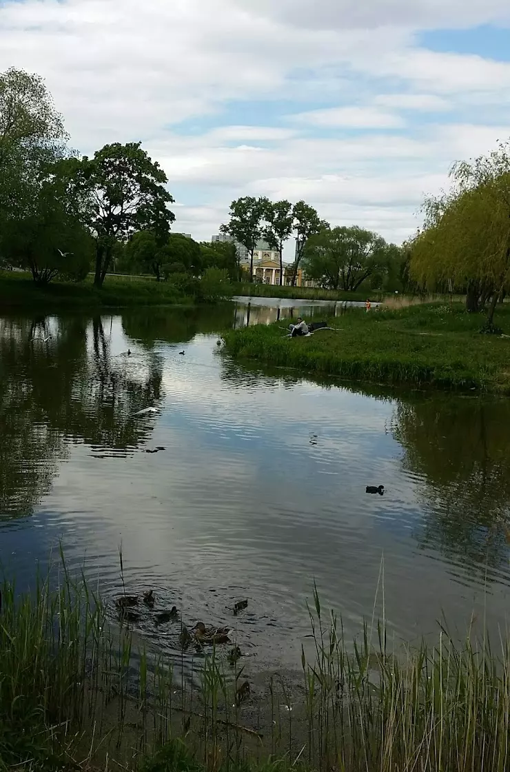 Александрино в Санкт-Петербурге, пр. Стачек, 226 - фото, отзывы 2024,  рейтинг, телефон и адрес