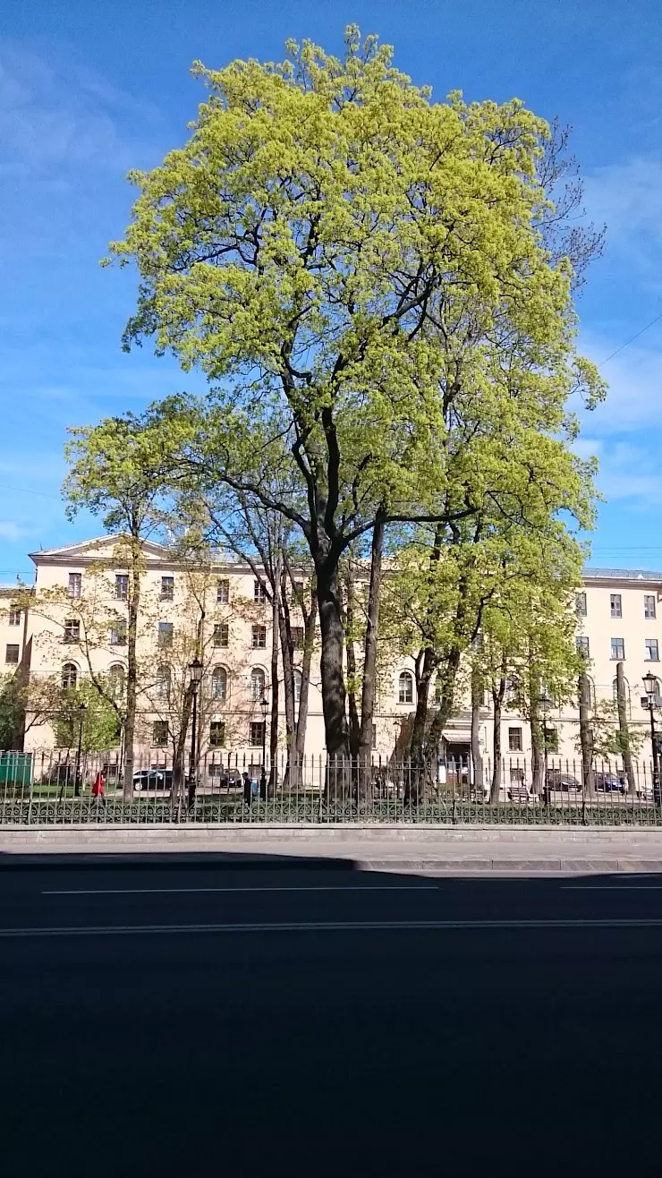 Imperial Alexandrovsky Lyceum в Санкт-Петербурге, Каменноостровский пр., 21  - фото, отзывы 2024, рейтинг, телефон и адрес