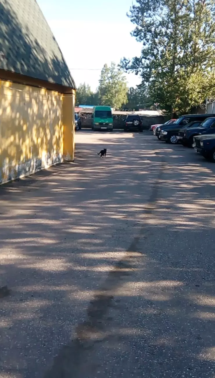 Коломяжское, Выборгская Автоколонна в Санкт-Петербурге, Северный пр., 9 -  фото, отзывы 2024, рейтинг, телефон и адрес