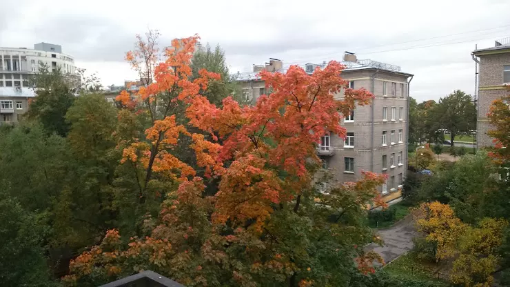 Студенческий городок СПбГИК, Дом студентов № 1 в Санкт-Петербурге, Ланское  ш., 9 корпус 1 - фото, отзывы 2024, рейтинг, телефон и адрес