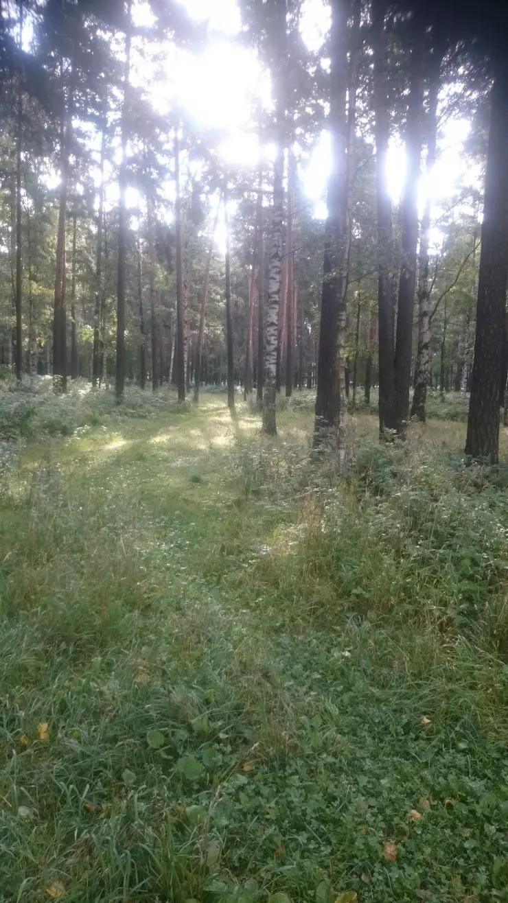 ТРАНС ТРЕЙД, топливная компания в Санкт-Петербурге, Граждaнский пр-т., 11,  305-307 офис, 3 этаж - фото, отзывы 2024, рейтинг, телефон и адрес