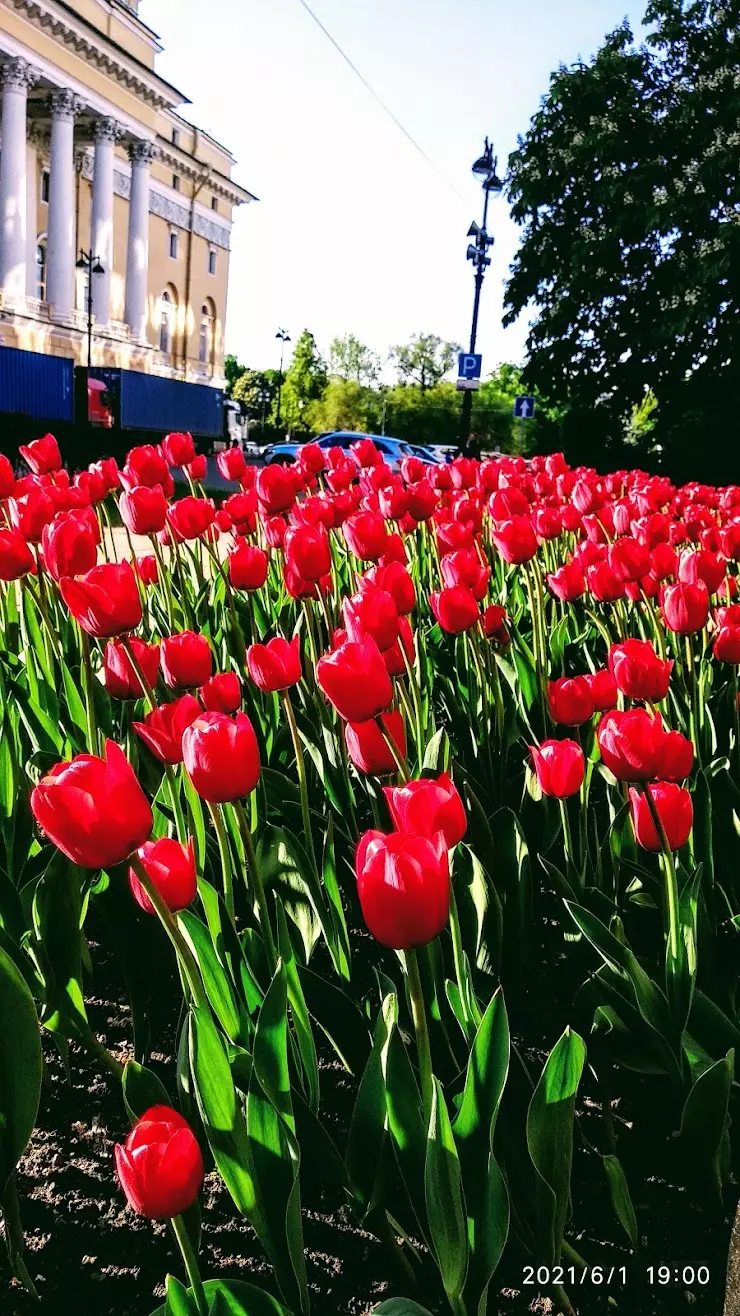 Управление Октябрьской Железной Дороги в Санкт-Петербурге, пл. Островского,  2А - фото, отзывы 2024, рейтинг, телефон и адрес