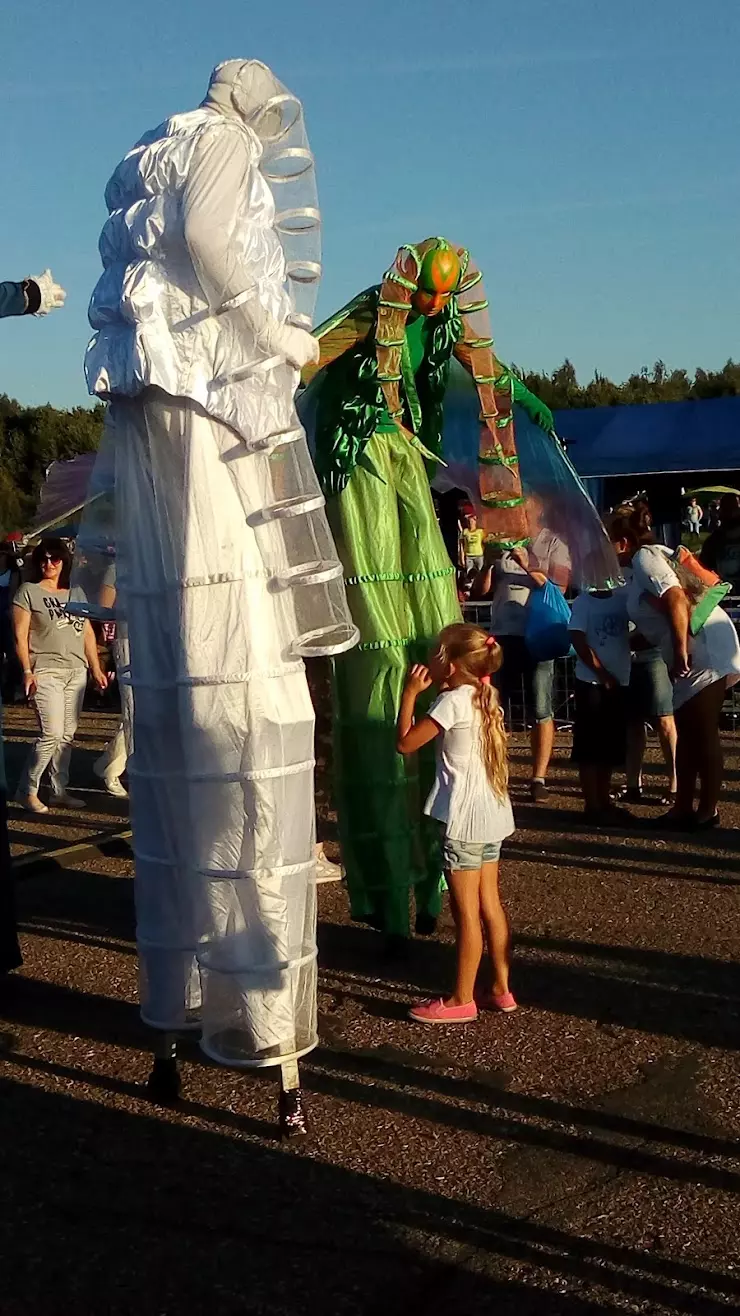 SKYDIVE SMOLENSK в Смоленске, пос. Тихвинка, 58 - фото, отзывы 2024,  рейтинг, телефон и адрес