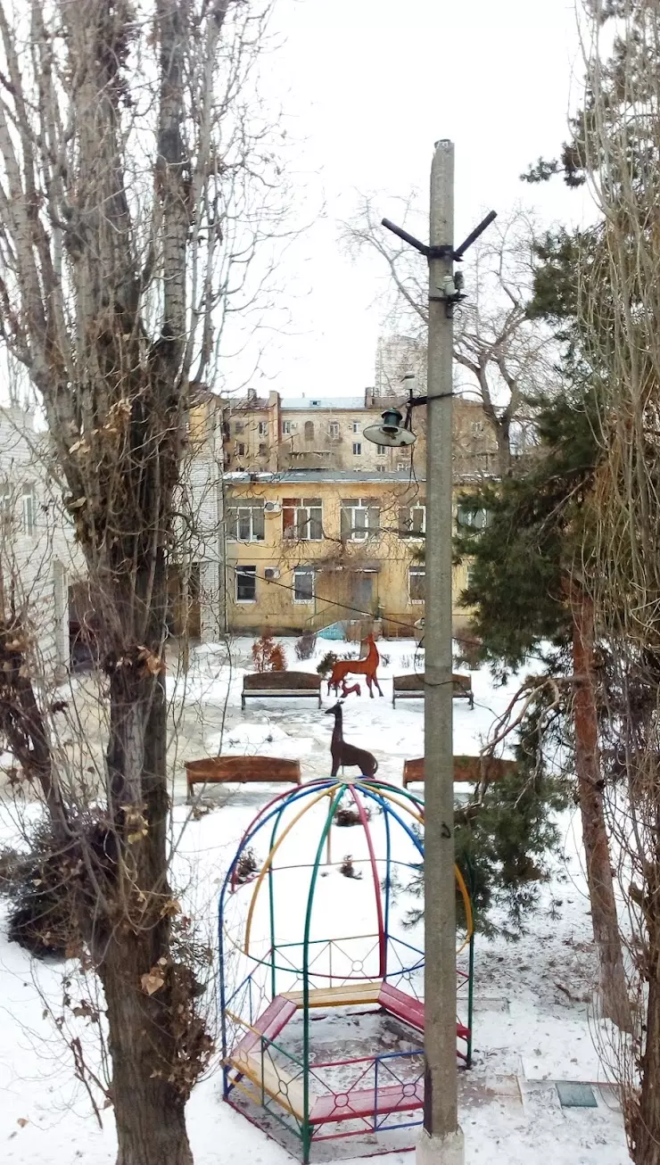 Волгоградский дом ребенка в Волгограде, Коммунистическая ул., 62а - фото,  отзывы 2024, рейтинг, телефон и адрес