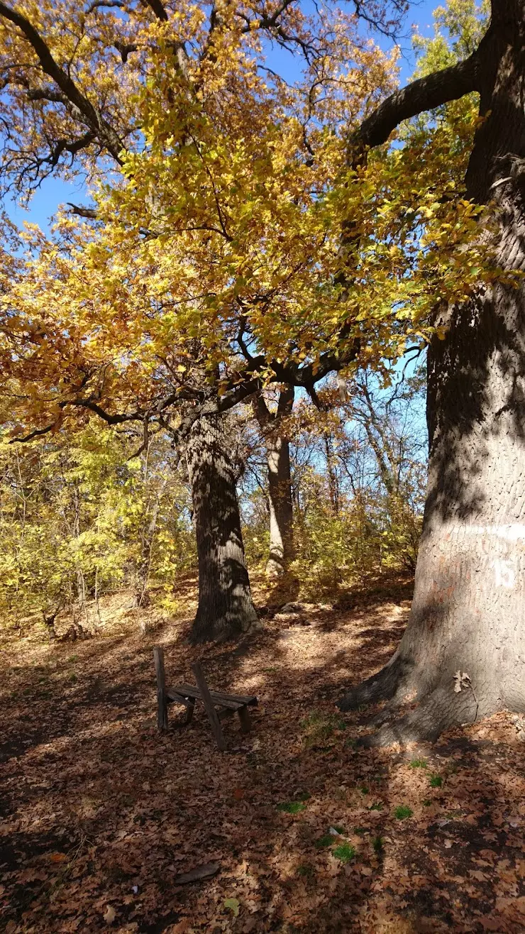 Детский Лагерь в Волгограде - фото, отзывы 2024, рейтинг, телефон и адрес