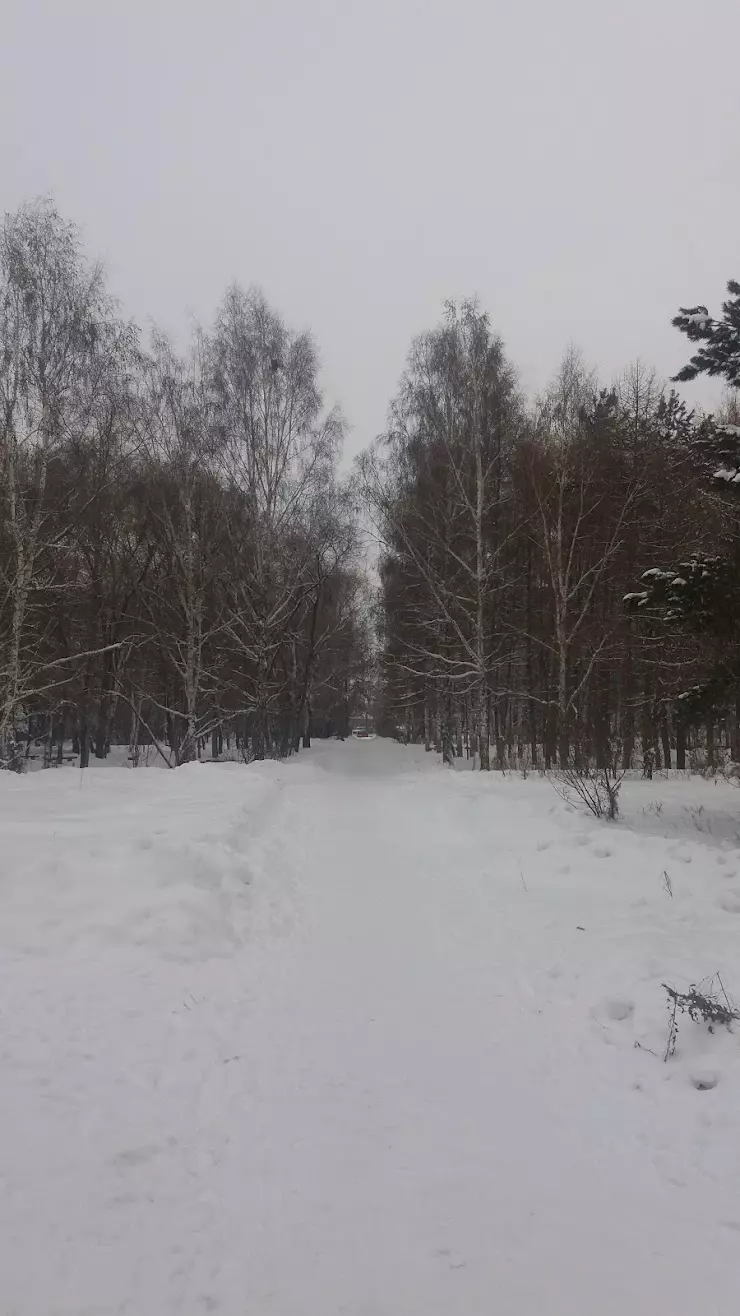 Соцкультбыт в Омске, ул. 50 лет Профсоюзов, 107 - фото, отзывы 2024,  рейтинг, телефон и адрес