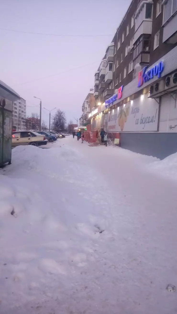 Вектор, Товары Для Дома в Перми, ул. Вильямса, 3-а - фото, отзывы 2024,  рейтинг, телефон и адрес