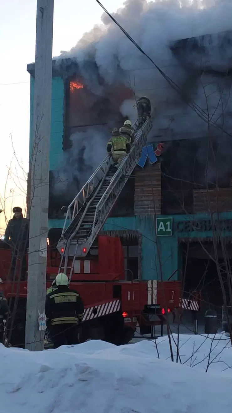 Стиляги55 в Омске, ул. Вавилова, 75 - фото, отзывы 2024, рейтинг, телефон и  адрес