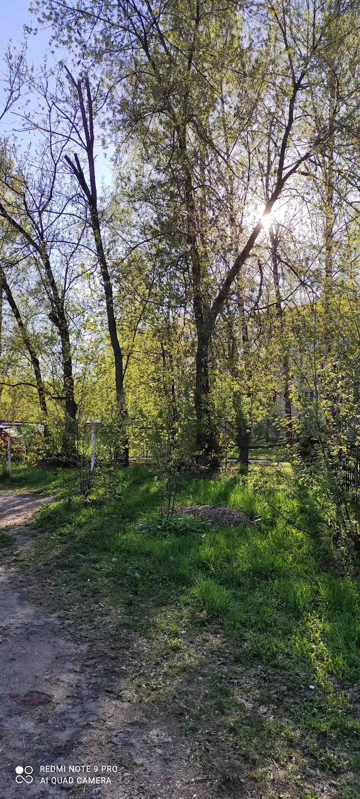 Духовая Детская Музыкальная Школа в Балашихе, ул. Терешковой, 9 - фото,  отзывы 2024, рейтинг, телефон и адрес