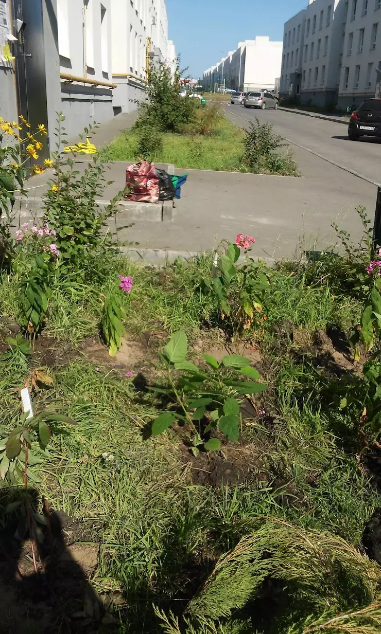 Остановка Виталия Жалнина в Самаре, ул. Мира, 21 - фото, отзывы 2024,  рейтинг, телефон и адрес