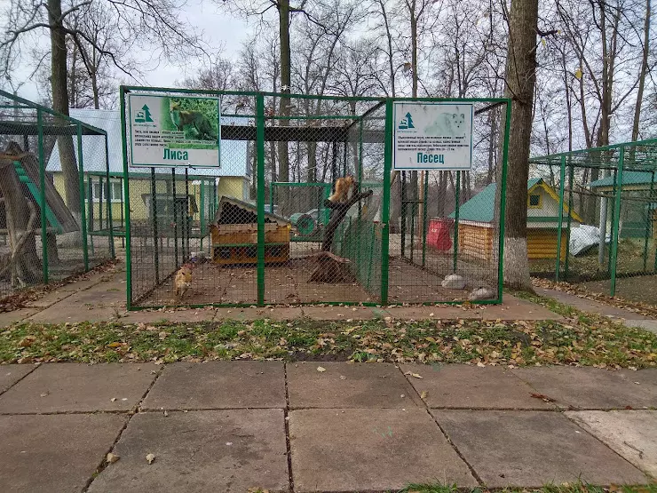 Парк лесоводов зоопарк. Парк лесоводов Уфа зоопарк. Парк лесоводов Уфа мангальная зона. Уфимский зоопарк Уфа 2024. Парк лесоводов Уфа адрес.