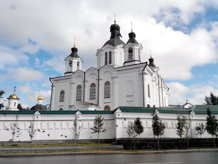 Екатеринбург сайты монастырей. Храм Всемилостивого Спаса Екатеринбург. Спасский храм (Екатеринбург). Елизавет храм Всемилостивого Спаса. Монастырь на Елизавете Екатеринбург.