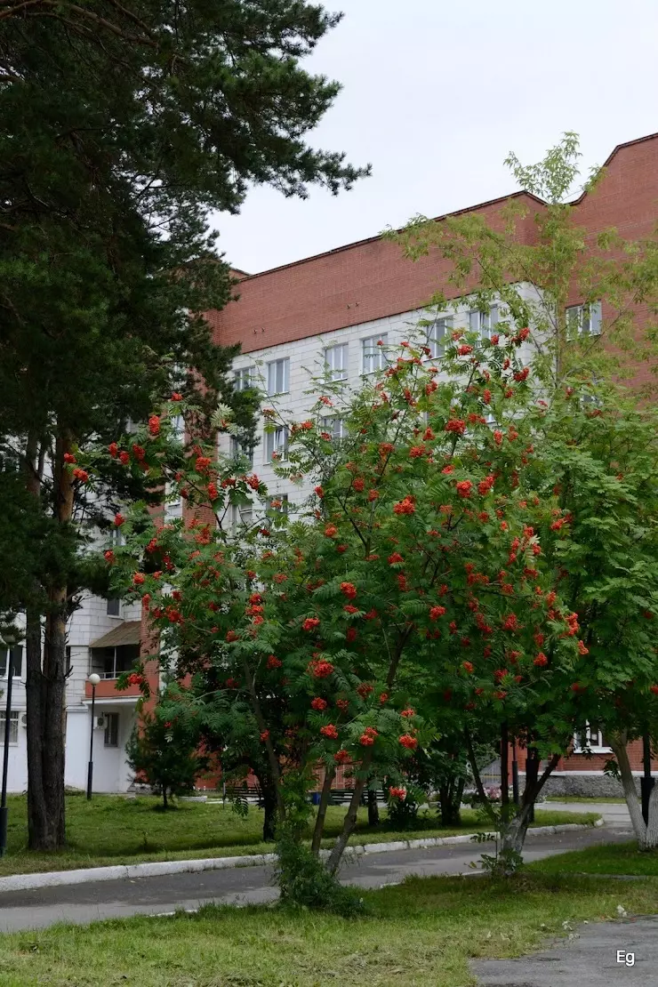 Свердловский областной клинический психоневрологический госпиталь для ветеранов  войн в Екатеринбурге, ул. Соболева, 25 - фото, отзывы 2024, рейтинг,  телефон и адрес