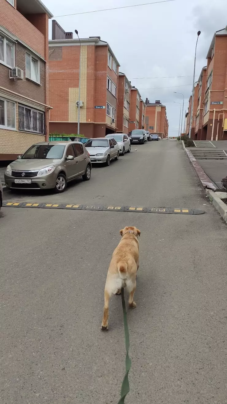 Жилые здания в Ростове-на-Дону, отзывы и рейтинги посетителей, фотографии,  контактная информация 2024