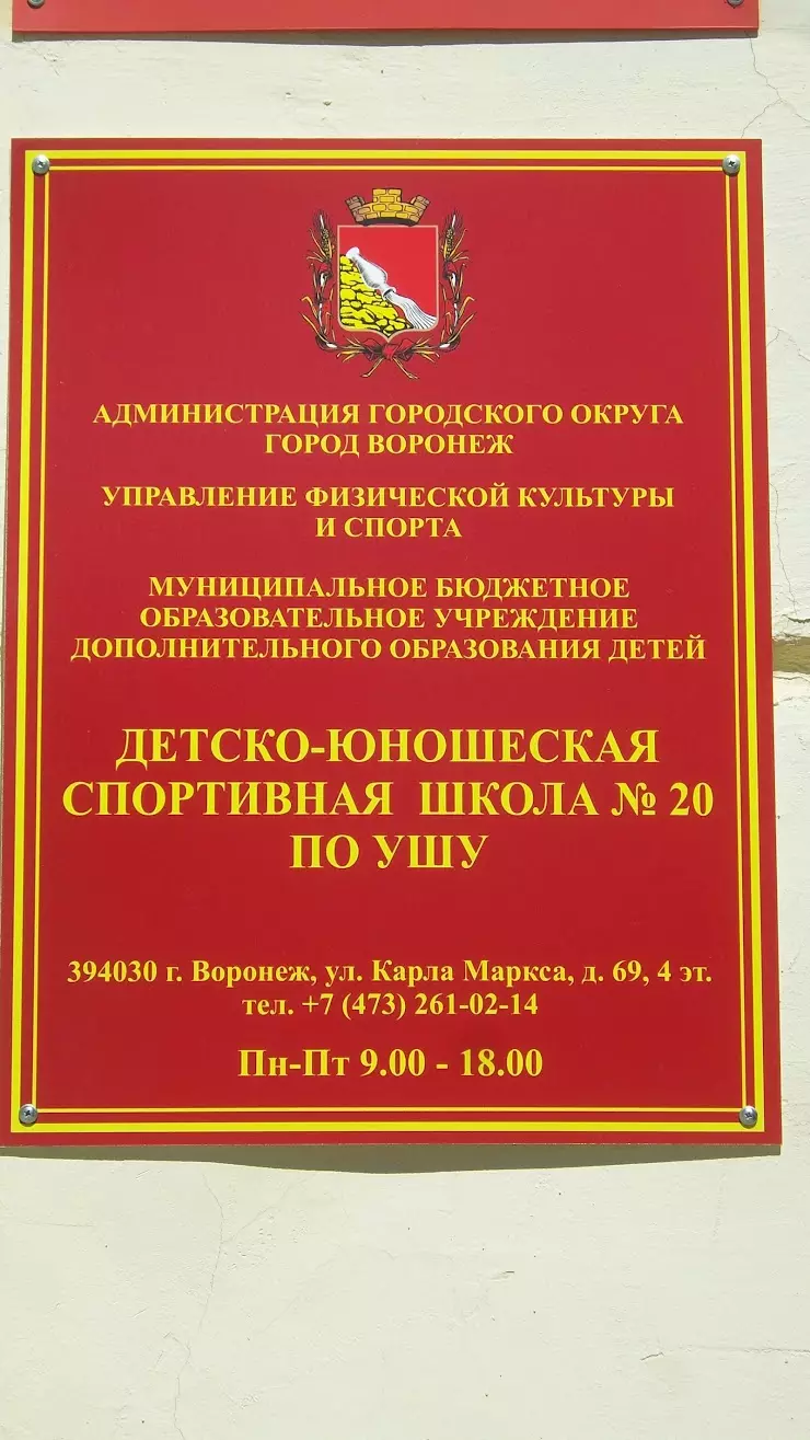 Детско-Юношеская Спортивная Школа № 20 по Ушу в Воронеже, ул. Карла Маркса,  69, 4 этаж - фото, отзывы 2024, рейтинг, телефон и адрес