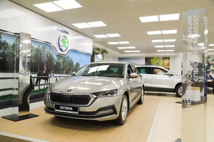 Skoda богемия балашиха