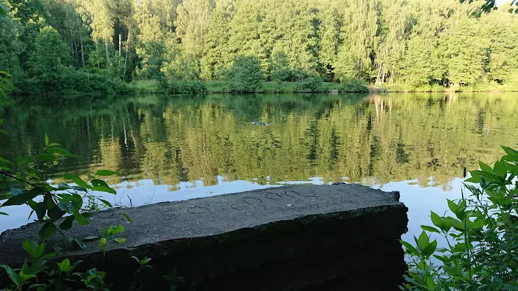 Тарелочкин пруд балашиха