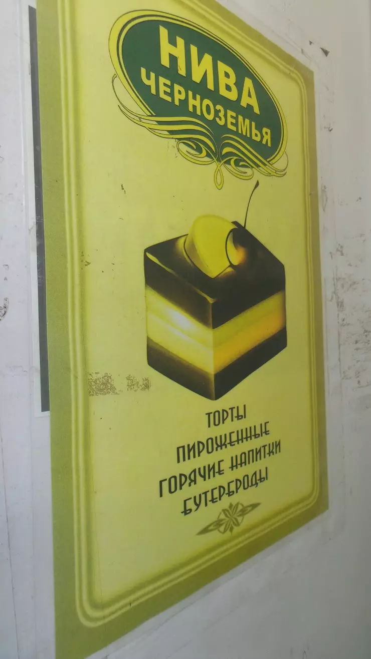 Нива Черноземья в Воронеже, ул. Морозова, 27/2 - фото, отзывы 2024,  рейтинг, телефон и адрес