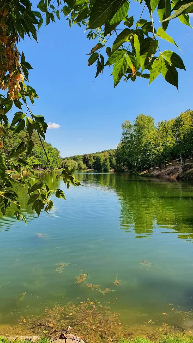 Пляж Комсомольское озеро, Дербышки в Казани - фото, отзывы 2024, рейтинг,  телефон и адрес