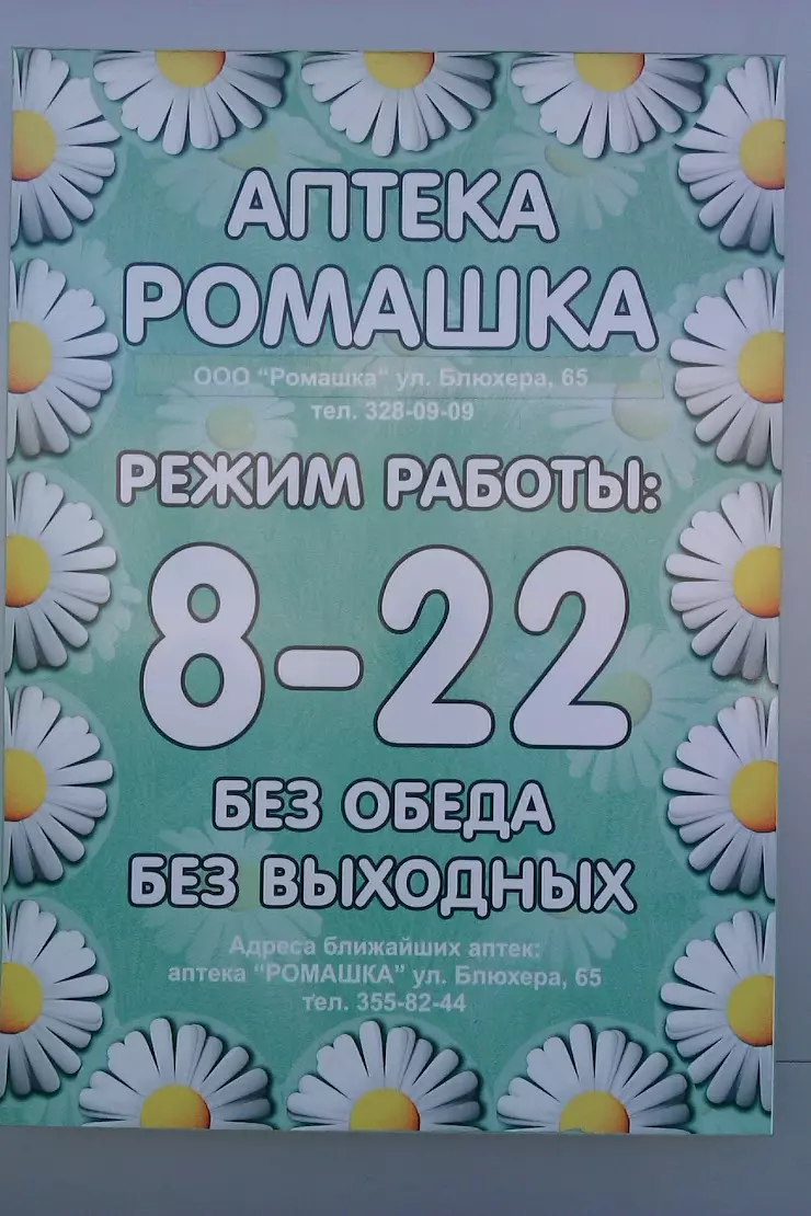 Ромашка в Новосибирске, ул. Пермитина, 24/1 - фото, отзывы 2024, рейтинг,  телефон и адрес