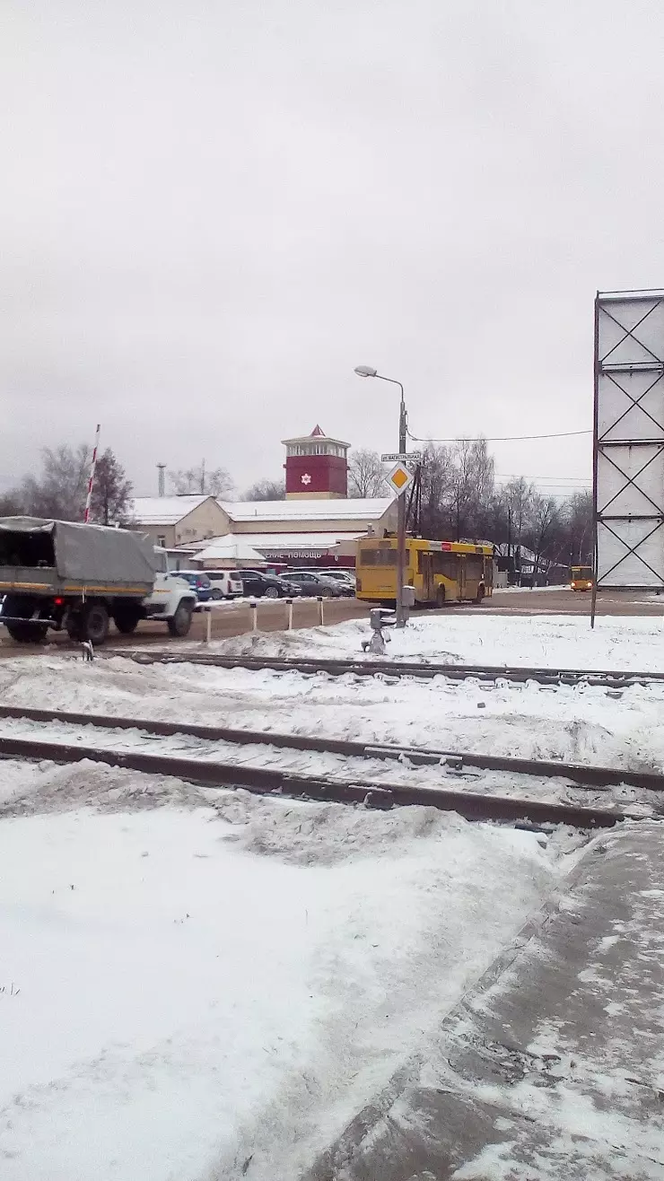 ООО Комета, оптовая компания по продаже аквариумных рыб в Перми, ул. Гальперина, 17-в - фото, отзывы 2024, рейтинг, телефон и адрес