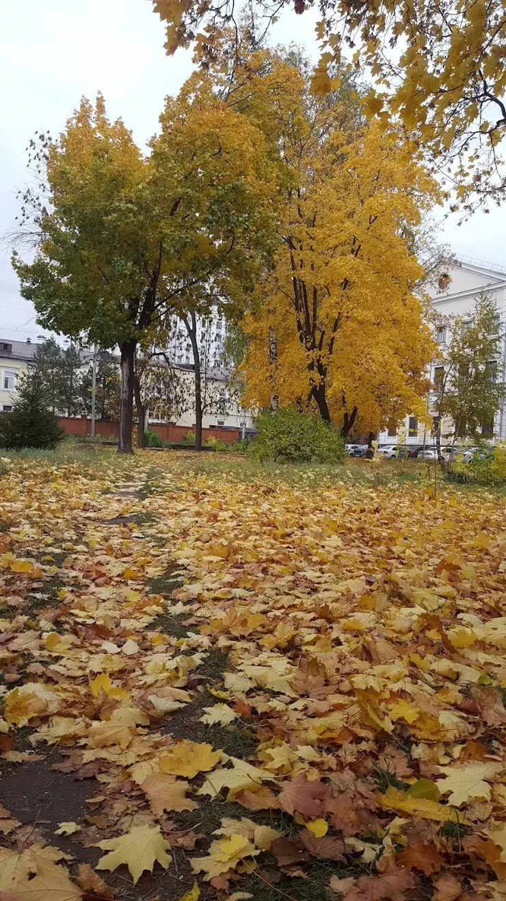 Городская поликлиника № 1 в Казани, ул. Аделя Кутуя, 48А - фото, отзывы  2024, рейтинг, телефон и адрес