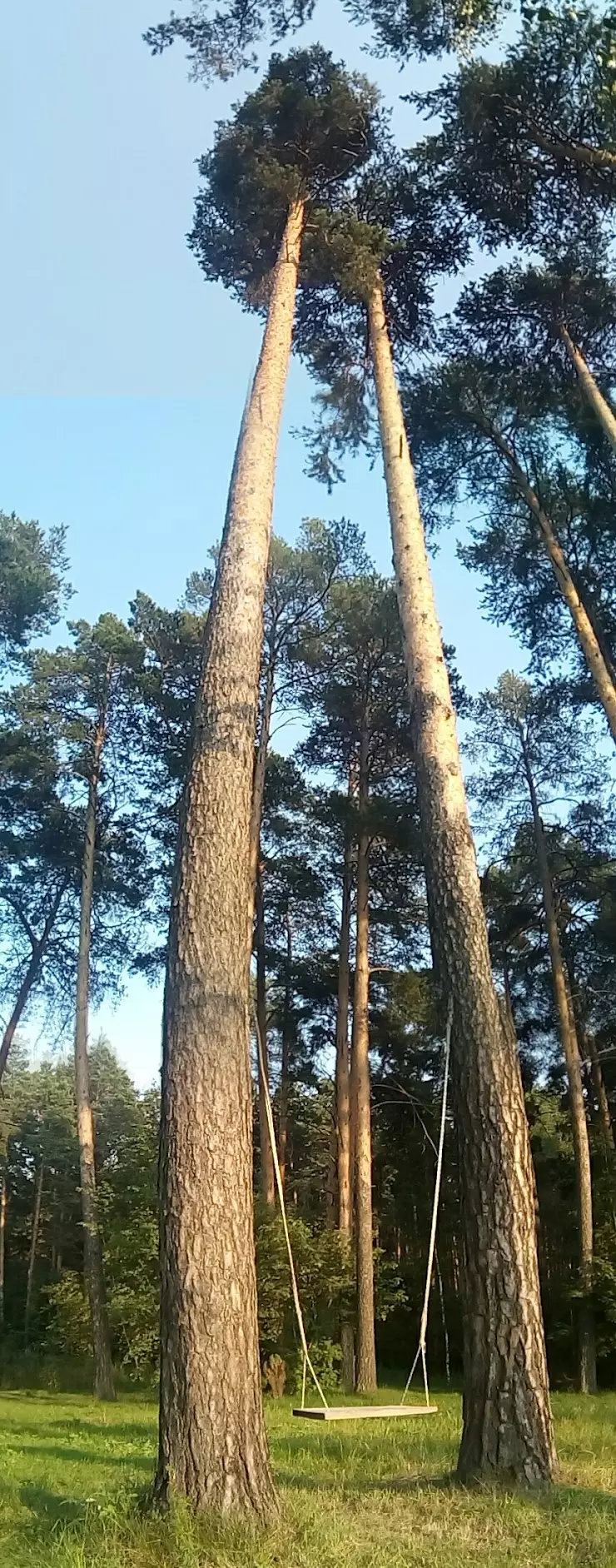 Посуда Плюс в Екатеринбурге, ул. Академика Вонсовского, 1А - фото, отзывы  2024, рейтинг, телефон и адрес