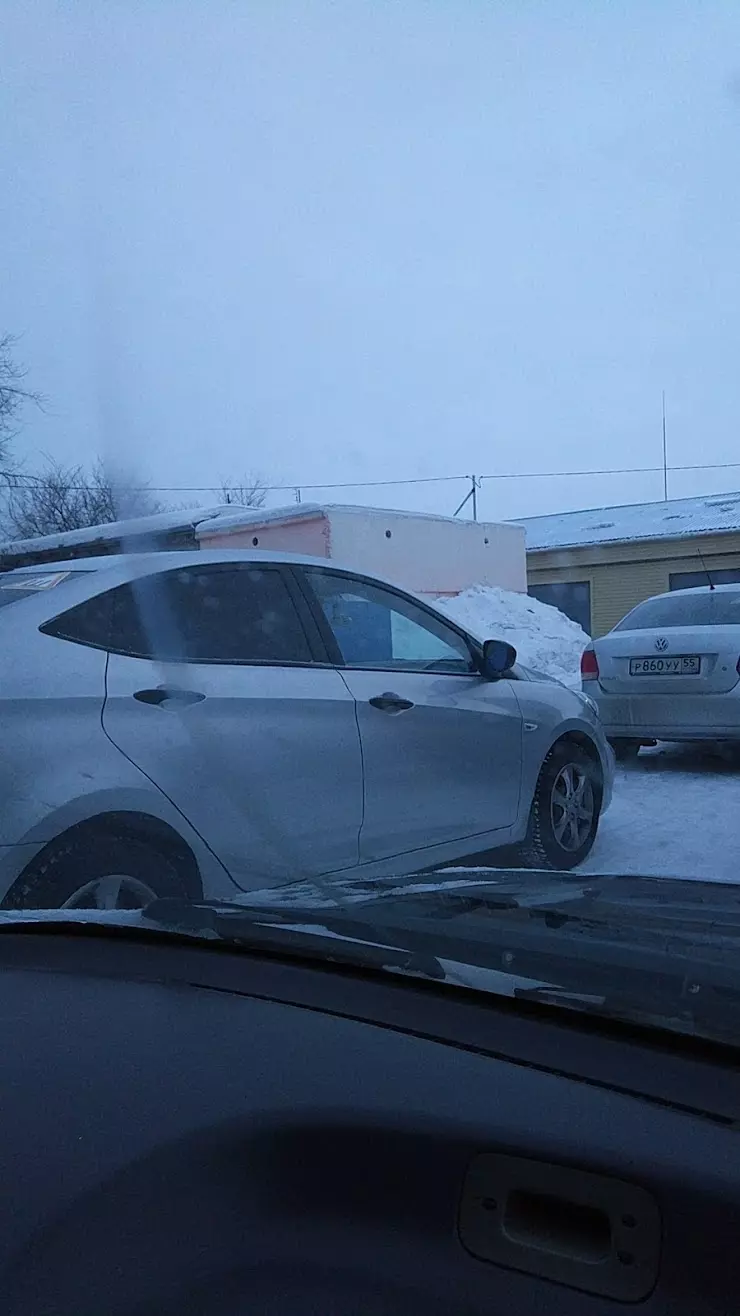 Ветеринарная Лечебница Октябрьского И Центрального Округов в Омске, ул.  Куйбышева, 131 - фото, отзывы 2024, рейтинг, телефон и адрес