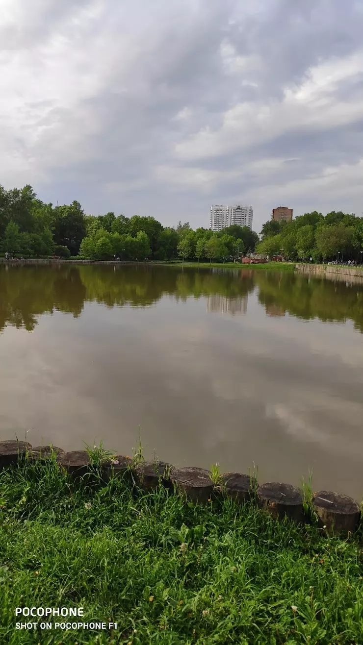 Нижний Афонинский пруд в Москве - фото, отзывы 2024, рейтинг, телефон и  адрес