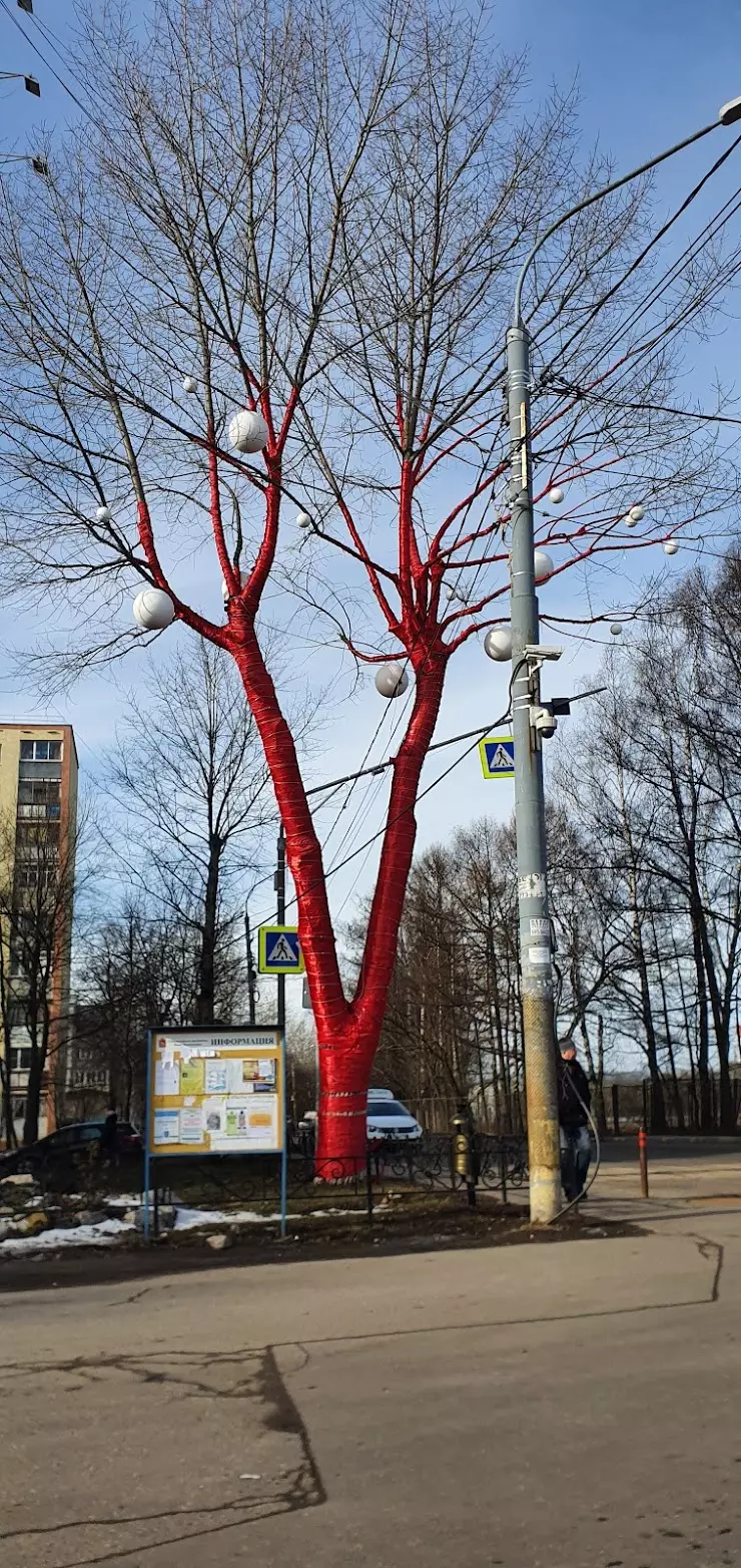 Институт Садоводства (пос. Измайлово) в Москве - фото, отзывы 2024,  рейтинг, телефон и адрес