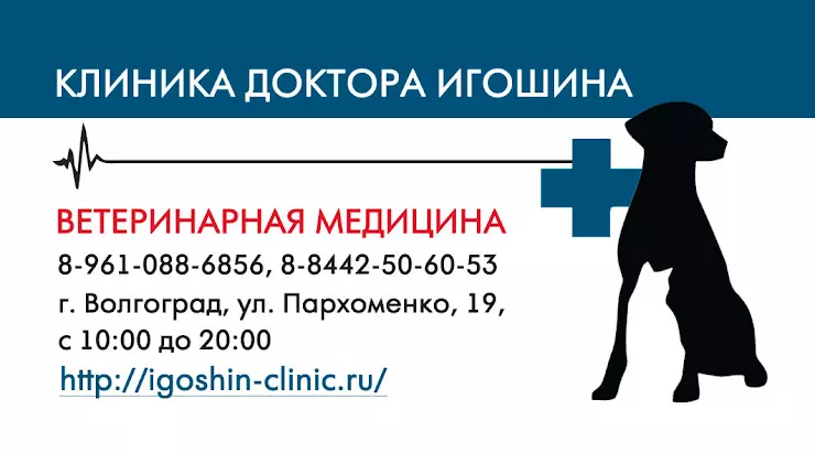 Пархоменко 19 волгоград. Медицинский центр Пархоменко 15 Волгоград. Ветеринар Игошин Волгоград.