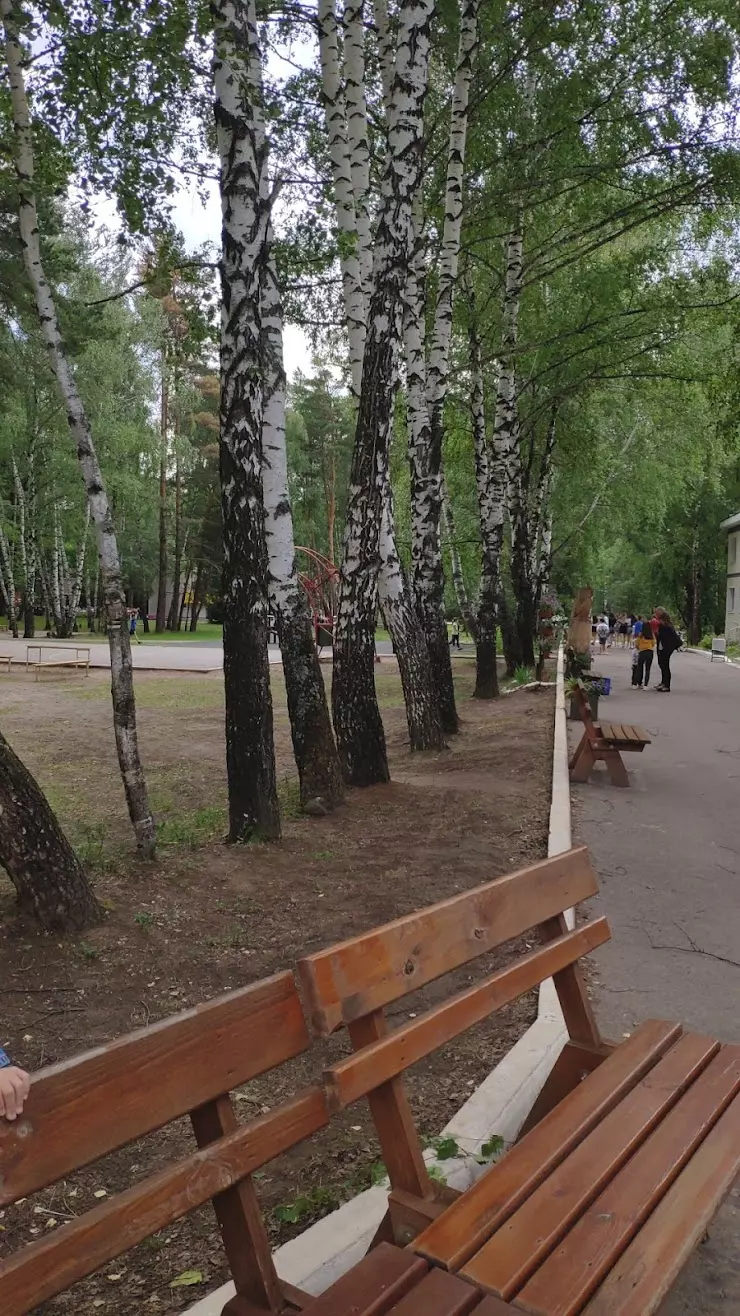 Заречье, оздоровительный лагерь в Казани, Горьковское ш., 103 - фото,  отзывы 2024, рейтинг, телефон и адрес