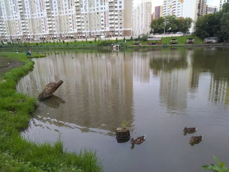 Платник на левобережной химки