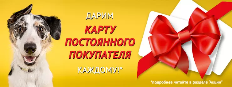 4 лапы карта постоянного покупателя