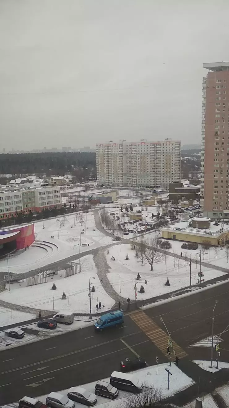 Государственное бюджетное общеобразовательное учреждение города Москвы 